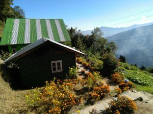 a small house with a green roof on a hill with flowers at Red Panda Homestay in Sombāri