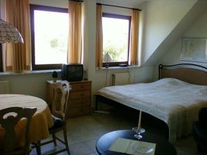 Schlafzimmer mit einem Bett, einem TV und Fenstern in der Unterkunft Haus Halligblick, Ferienwohnung Hamburger Hallig in Dagebüll