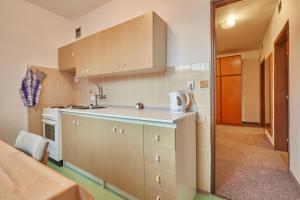Kuchyň nebo kuchyňský kout v ubytování Apartmany Firn