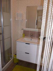 a bathroom with a sink and a mirror at Chez Bernard et Nicole in Betton