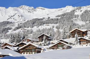 Hôtel Les Sources talvel