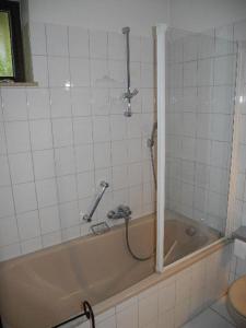 un baño con bañera con ducha en Haus Seeromantik, en Uhldingen-Mühlhofen