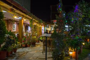 Κήπος έξω από το Apsara Boutique Hotel