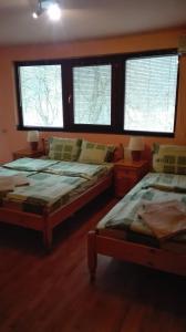 duas camas num quarto com duas janelas em Вила Мирела em Ribarica