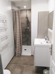 y baño con ducha y lavamanos. en Joli gîte F2 indépendant avec jardin privé, en Rouffach