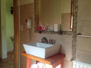 a bathroom with a white sink and a mirror at Los Abetos B&B 1 in El Bolsón +15 photos