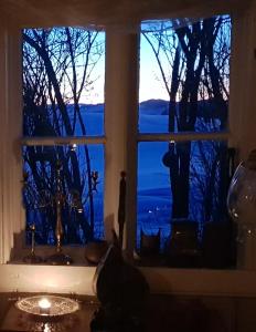 a cat sitting on a window sill next to a window at Møyrud Inn in Ottestad