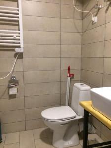 un bagno con un water e un lavandino di Gudauri Loft (Mgzavrebi) a Gudauri