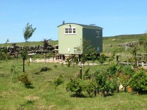 a house in the middle of a field at The Buteland Stop Rosie off grid Shepherds Hut in Bellingham