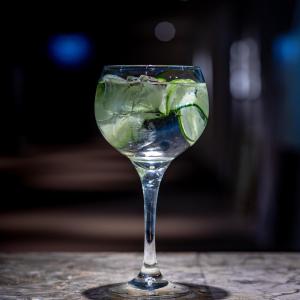 Tragos en Litli Geysir Hotel