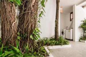 Fotografie z fotogalerie ubytování Whalecome Aonang Resort-SHA Extra Plus v destinaci pláž