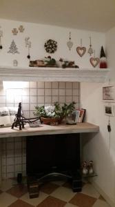 a kitchen with a counter top with a plant on it at Appartamento Romantico in Venice