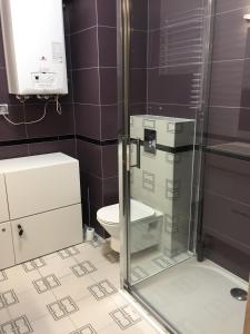 a bathroom with a toilet and a glass shower at apartament 6 Villa Mountain View in Szklarska Poręba