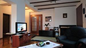 a living room with a couch and a television at Kopaonik Family House "Brzeće" in Kopaonik