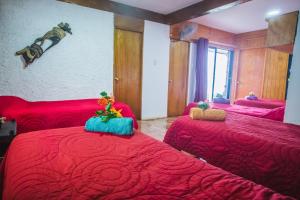 Imagen de la galería de Cabañas & Hostal Tojika, en Hanga Roa