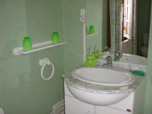 a bathroom with a sink and a green wall at Le Moulin de Fillièvres in Fillièvres