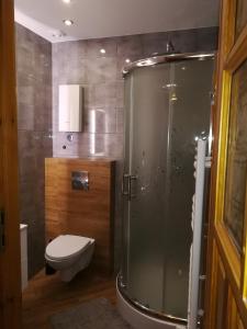 a bathroom with a shower and a toilet at Na Starówce in Żywiec