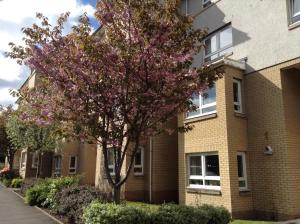 Gallery image of Paisley Central Apartment #3 in Paisley