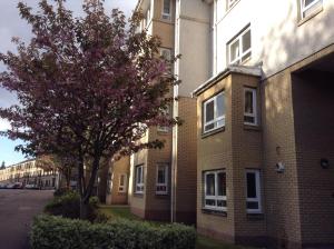 Gallery image of Paisley Central Apartment #2 in Paisley
