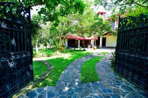 Κήπος έξω από το Simon's Lodge Hikkaduwa