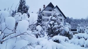 a house with snow covered trees in front of it at Pensiunea Almas in Piatra Neamţ