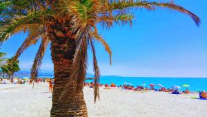 a palm tree on a beach with a crowd of people at Vue Mer T2 Climatisé Marina Baie des Anges, étage 11, plages à 100 m in Villeneuve-Loubet +2 photos