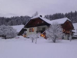 dom pokryty śniegiem i pokryty śniegiem drzewami w obiekcie Apartment Krobath w mieście Murau