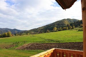 a view of a green field with a mountain at Noclegi Urbaniak in Tylmanowa