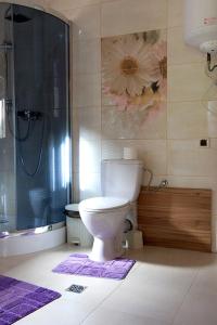 ein Badezimmer mit einem WC und einer Dusche mit lila Teppichen in der Unterkunft Noclegi Urbaniak in Tylmanowa