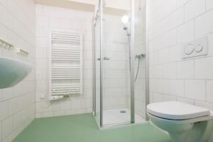 a bathroom with a shower and a toilet and a sink at Pivovar Trautenberk in Horní Malá Úpa