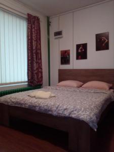Cama ou camas em um quarto em Apartment Viktor stan na dan