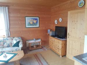 a living room with a couch and a tv at Ferienwohnung Arina in Tauplitz