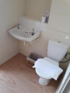 a bathroom with a toilet and a sink at Marvellous Meridian Maisonette in Ifield