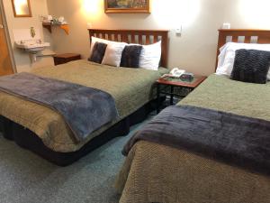 Gallery image of Manapouri Lakeview Motor Inn in Manapouri