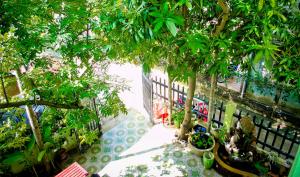 Zahrada ubytování Xanh Lá Homestay Hội An