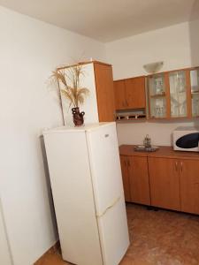 a white refrigerator in a kitchen with a plant on top at Cabana Merișor in Poiana Mărului