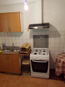 a kitchen with a stove and a sink at Cabana Merișor in Poiana Mărului
