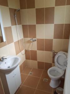 a bathroom with a toilet and a sink at Cabana Merișor in Poiana Mărului