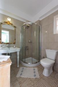 a bathroom with a shower and a toilet and a sink at Villa Areto in Kamares