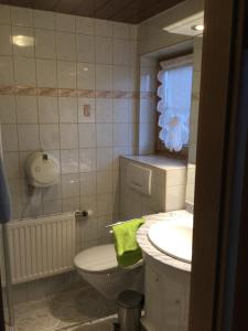 een kleine badkamer met een toilet en een wastafel bij Ferienwohnungen Fellhornblick in Riezlern