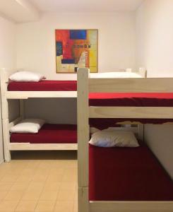Postel nebo postele na pokoji v ubytování The Trip Hostel