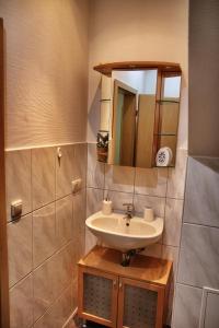 ein Bad mit einem Waschbecken und einem Spiegel in der Unterkunft Oppenheimstrasse 2 in Eisenach