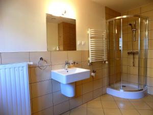 a bathroom with a sink and a shower at Apartament Panoramic in Zakopane