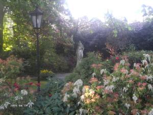 Zahrada ubytování Meyerhof Heiligenrode