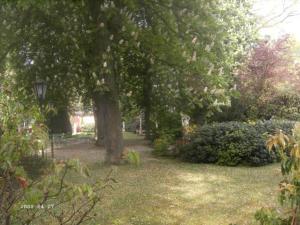 Zahrada ubytování Meyerhof Heiligenrode