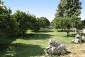 Vonkajšia záhrada v ubytovaní Tenuta San Calogero Appartamento Salvia