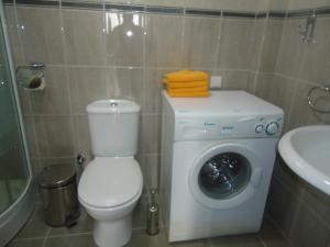Un baño con inodoro y lavadora. en Apartments Villa Petranović, en Budva