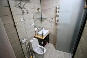 un piccolo bagno con un water e un lavandino di Gudauri Loft (Mgzavrebi) a Gudauri Altre 32 foto