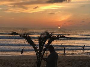 a man standing next to a palm tree on the beach at Holiday Home Patong in Patong Beach