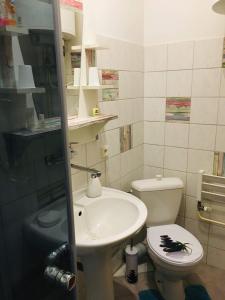 a bathroom with a sink and a toilet at Penzion u modrého zvonku in Zlaté Hory